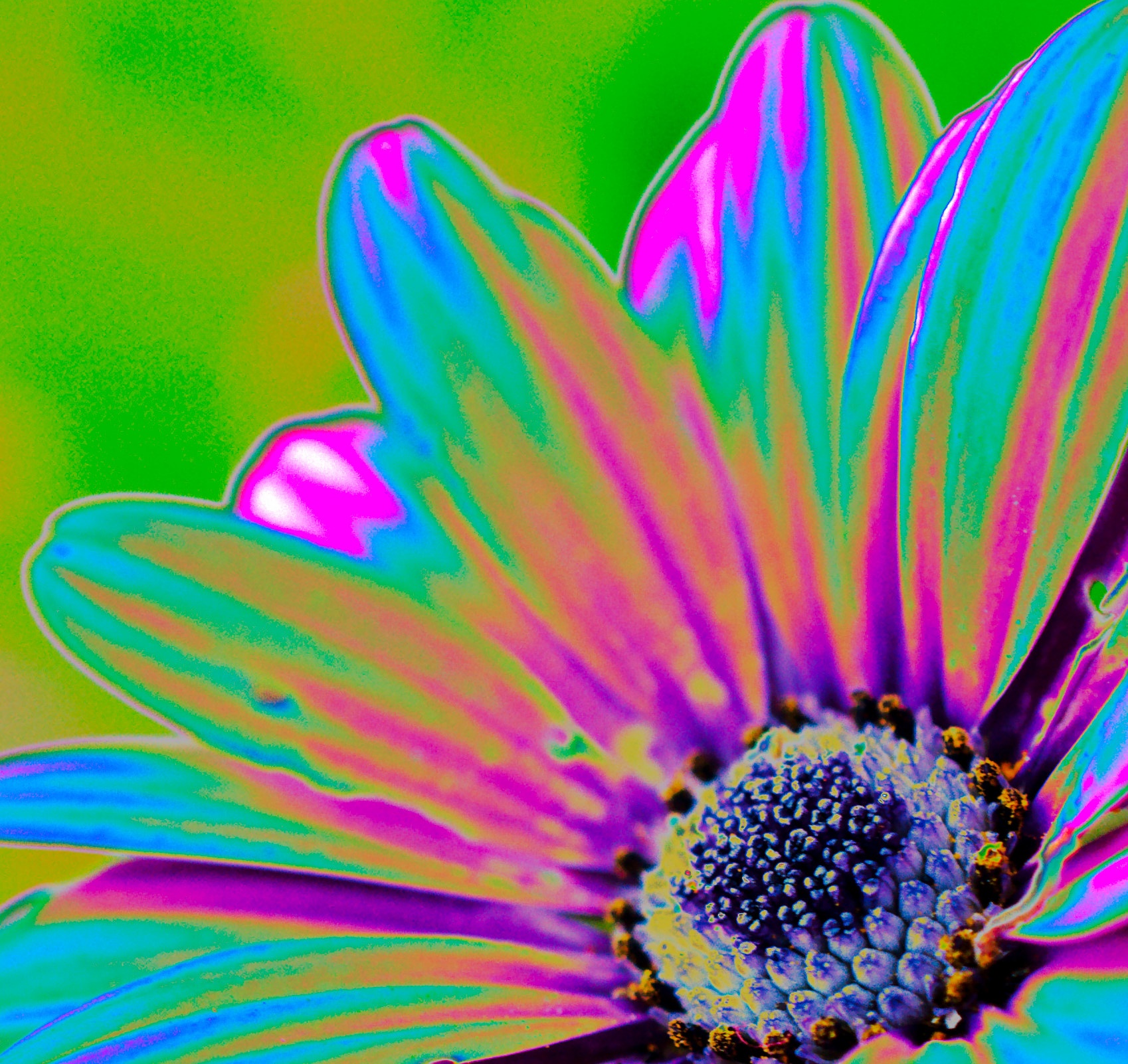 What Color Is Acid? (And Why It Matters) - tbmh4l7